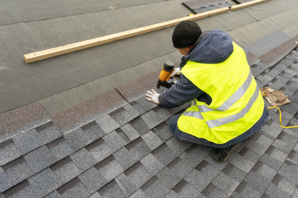 Roof Gutter Cleaning in Clyde, NY